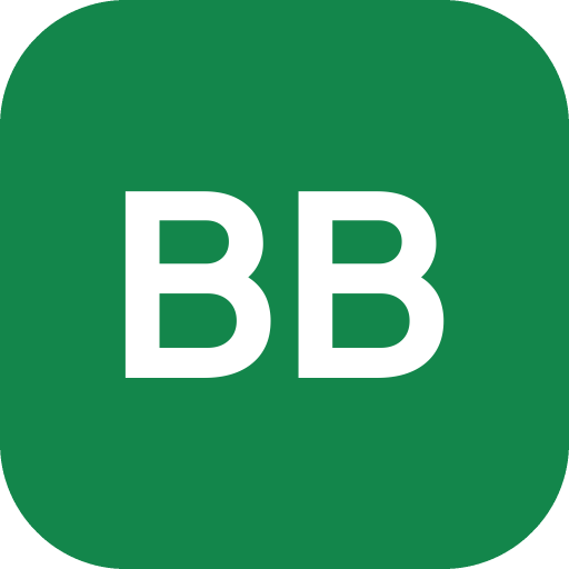 Borderland Balloon Co logo